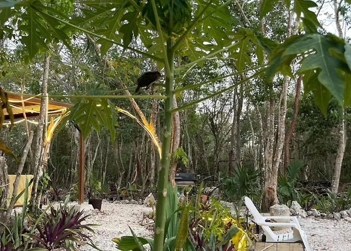Luxury tent Glamping Cozumel