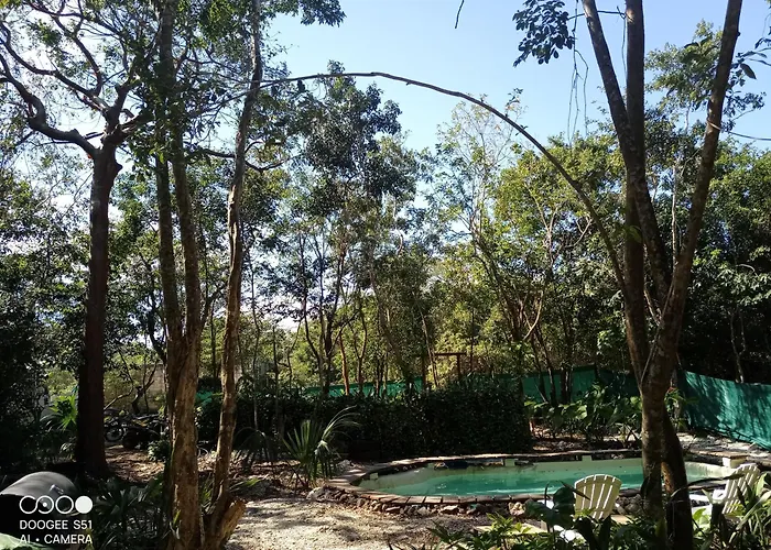 Glamping Luxury tent *