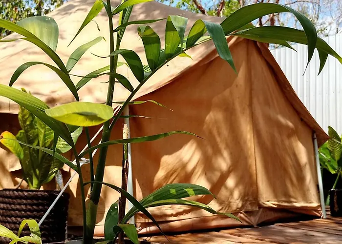 Luxury tent Glamping Cozumel