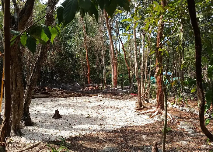 Glamping Luxury tent Cozumel