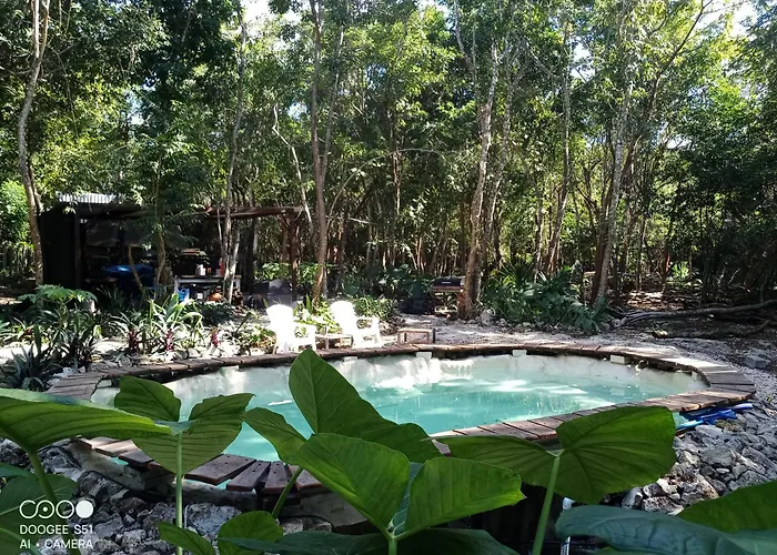 Glamping * Cozumel