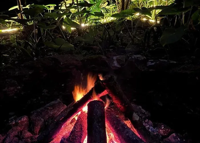 Luxury tent Glamping *