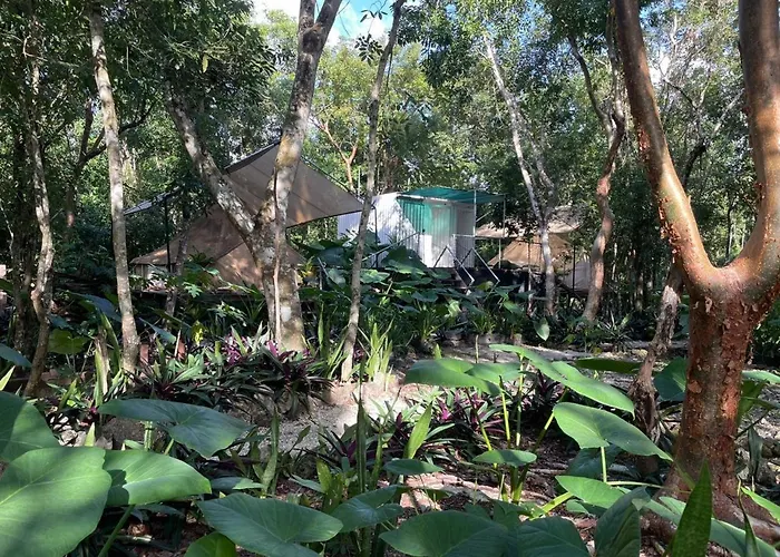 Glamping Luxury tent Cozumel