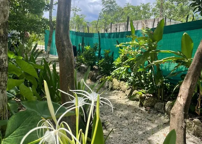 Luxury tent Glamping Cozumel