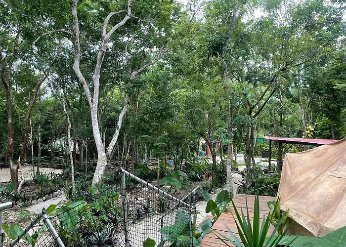 Glamping Luxury tent Cozumel