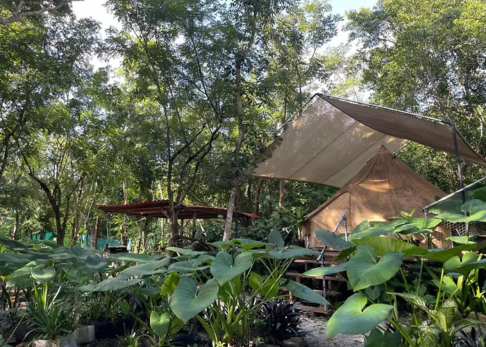 Glamping Luxury tent *