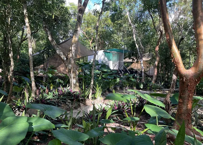 Glamping Cozumel