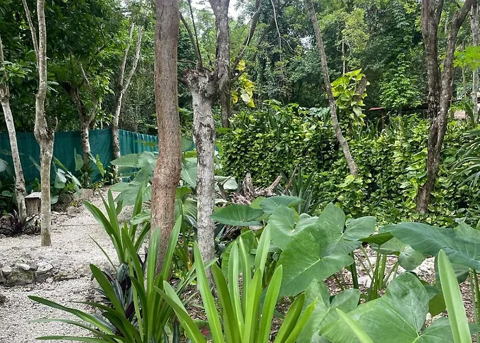 Glamping Luxury tent Cozumel