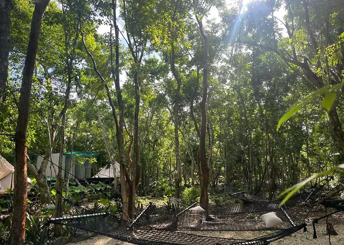 Luxury tent Glamping Cozumel
