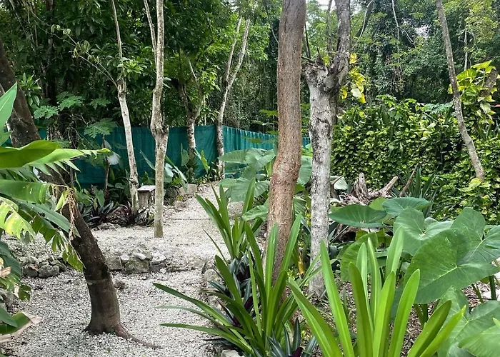 Glamping Cozumel